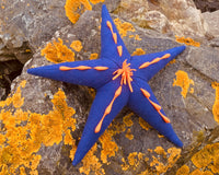 starfish plushie pattern